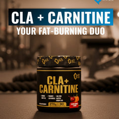 Ace Vitals CLA Plus Carnitine- 270gm