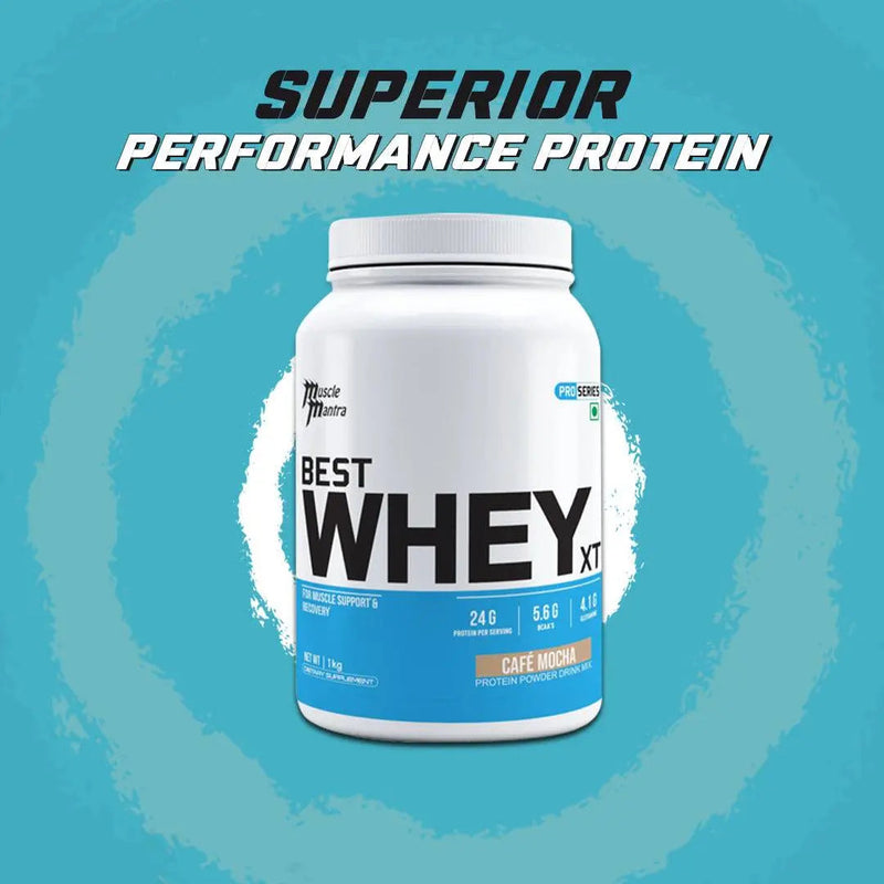gold standard whey protein